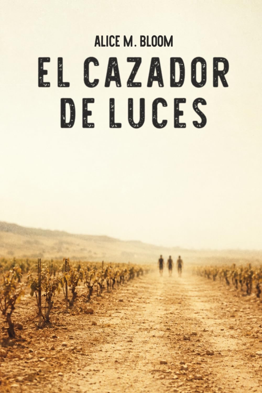 El cazador de luces