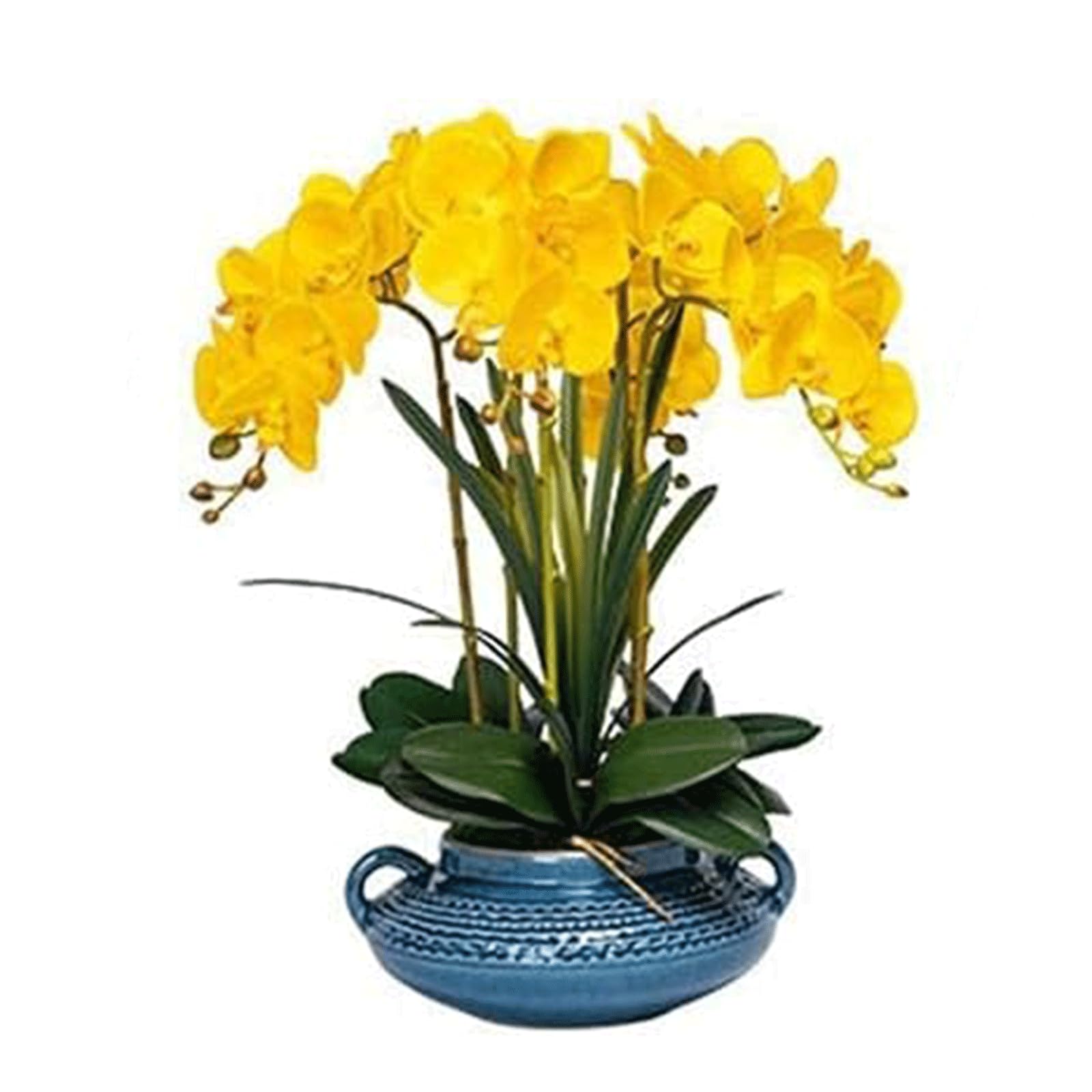SDdPulse Orchidea artificiale con vaso in ceramica orchidee finte in seta, 50,8 cm, fiori artificiali Phalaenopsis orchidea artificiale per la casa, fiori finti molto naturali, giallo