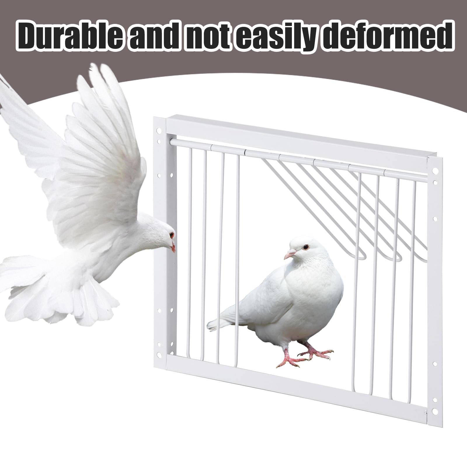 T-Trap - Porta d'ingresso per animali domestici, usa e getta, per piccione da corsa, piccione, porta d'ingresso in ferro, pappagallo, accessorio per l'allevamento di uccelli, 33 x 26 cm