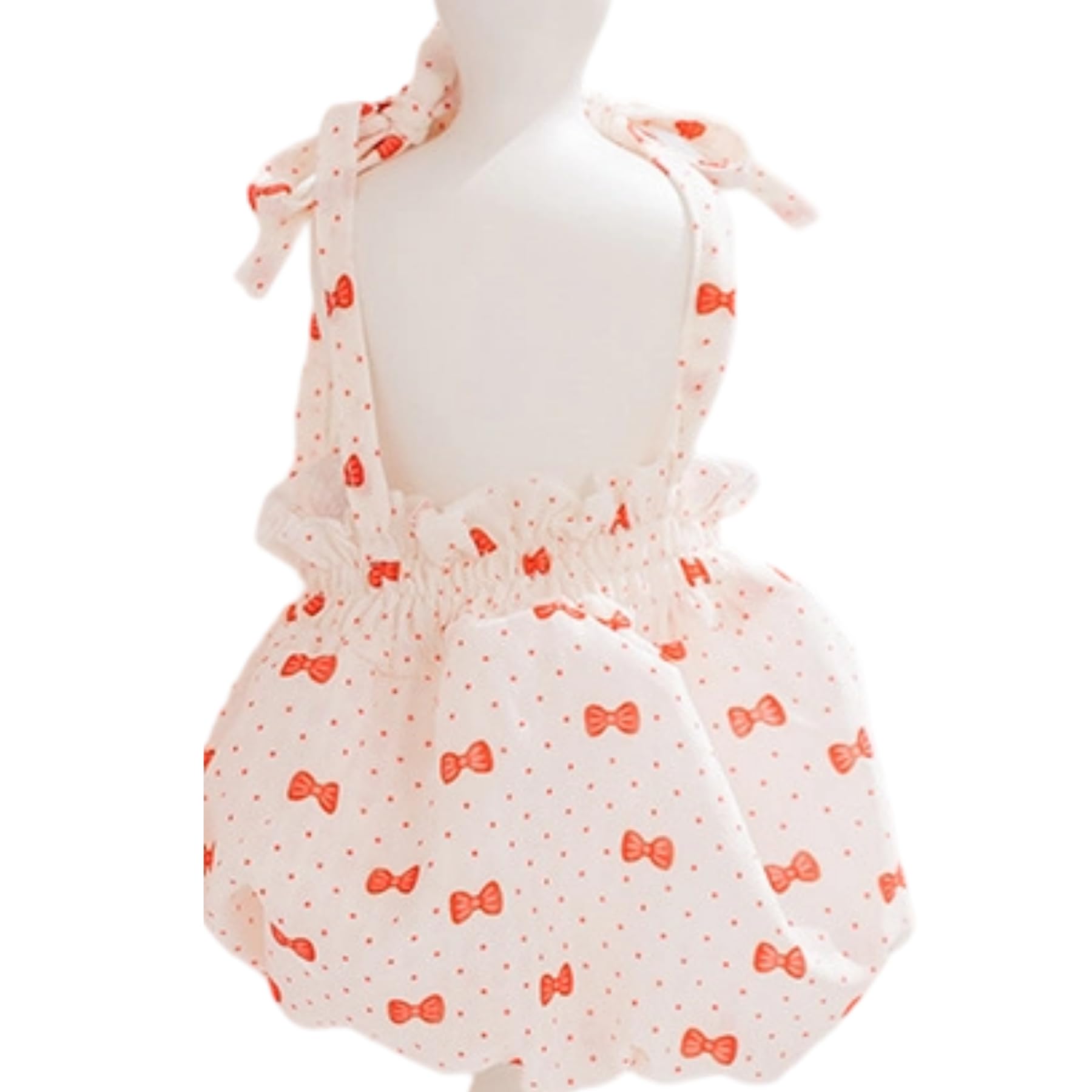 Robe d'été pour chien et fêtes de saison : tenue fraîche spitz nain et chihuahua