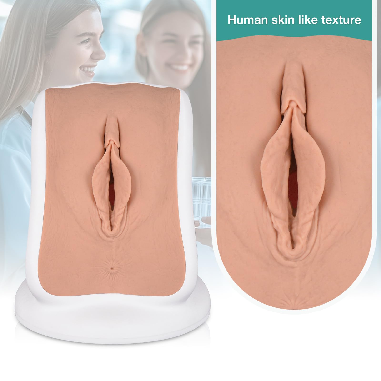 MedEduQuest Pelvic Health Model, Gynecological Examination Vulva Anatomical Model for Demonstration, Vaginal Training Model for Science Education