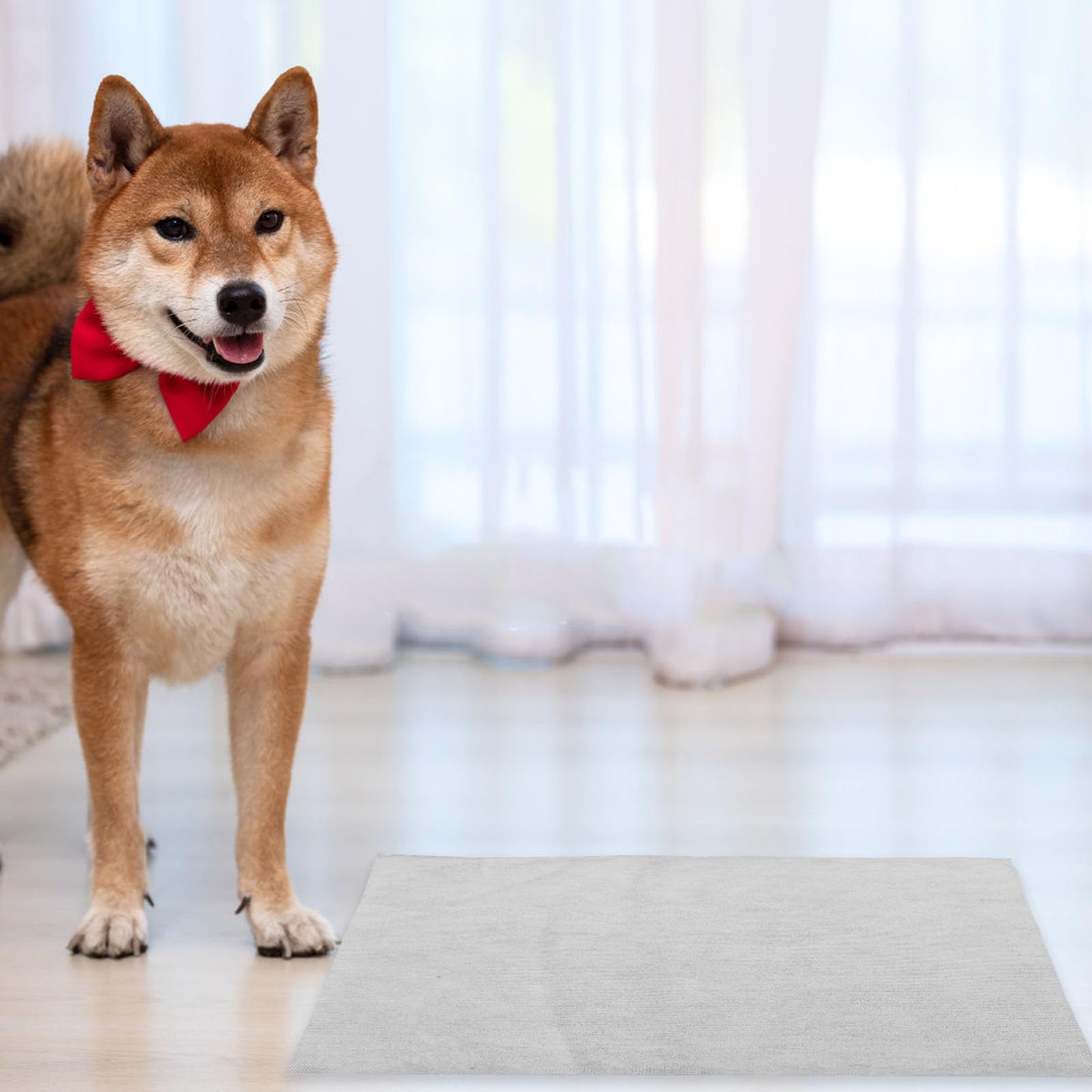 100 Stück Weiße Haustier Urinierunterlage für Hunde und Kaninchen | Vlies, Schnell Saugend und Auslaufsicher, Reise und Autoeinsatz