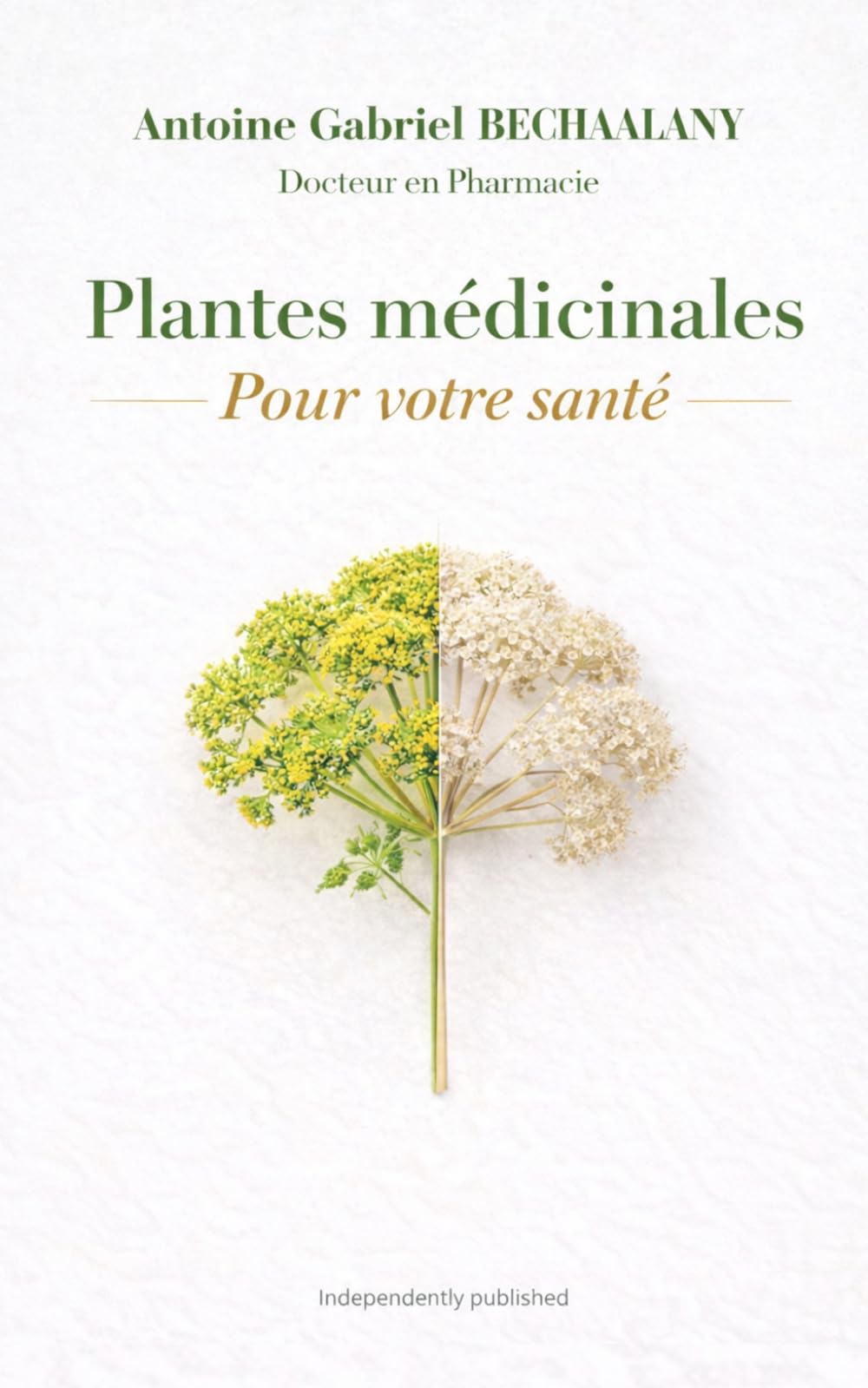 Plantes médicinales: Pour votre santé