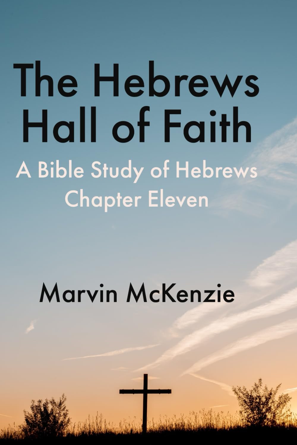 The Hebrews Hall of Faith: A Bible Study of Hebrews Chapter Eleven (Bible Study Series)