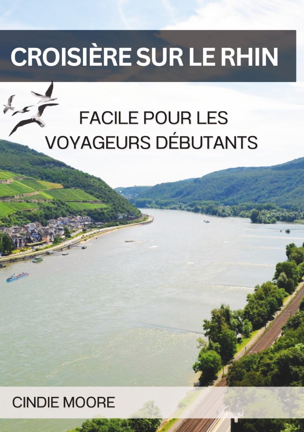 CROISIÈRE SUR LE RHIN FACILE POUR LES VOYAGEURS DÉBUTANTS: Itinéraires d’Amsterdam à Bâle, meilleures cabines et excursions, fleurs de printemps & croisières festives d’hiver