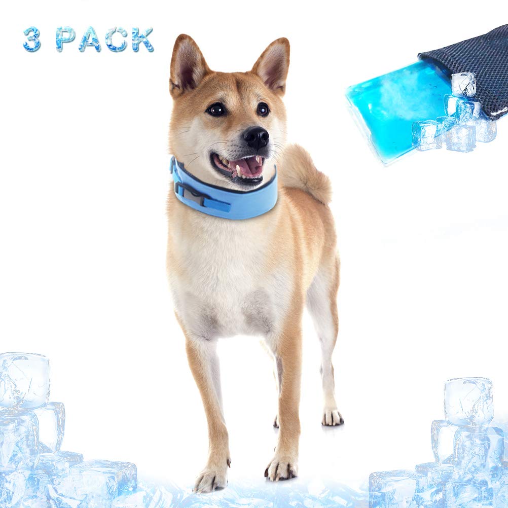 Knit Dog Collar Pattern 1000 Free Patterns