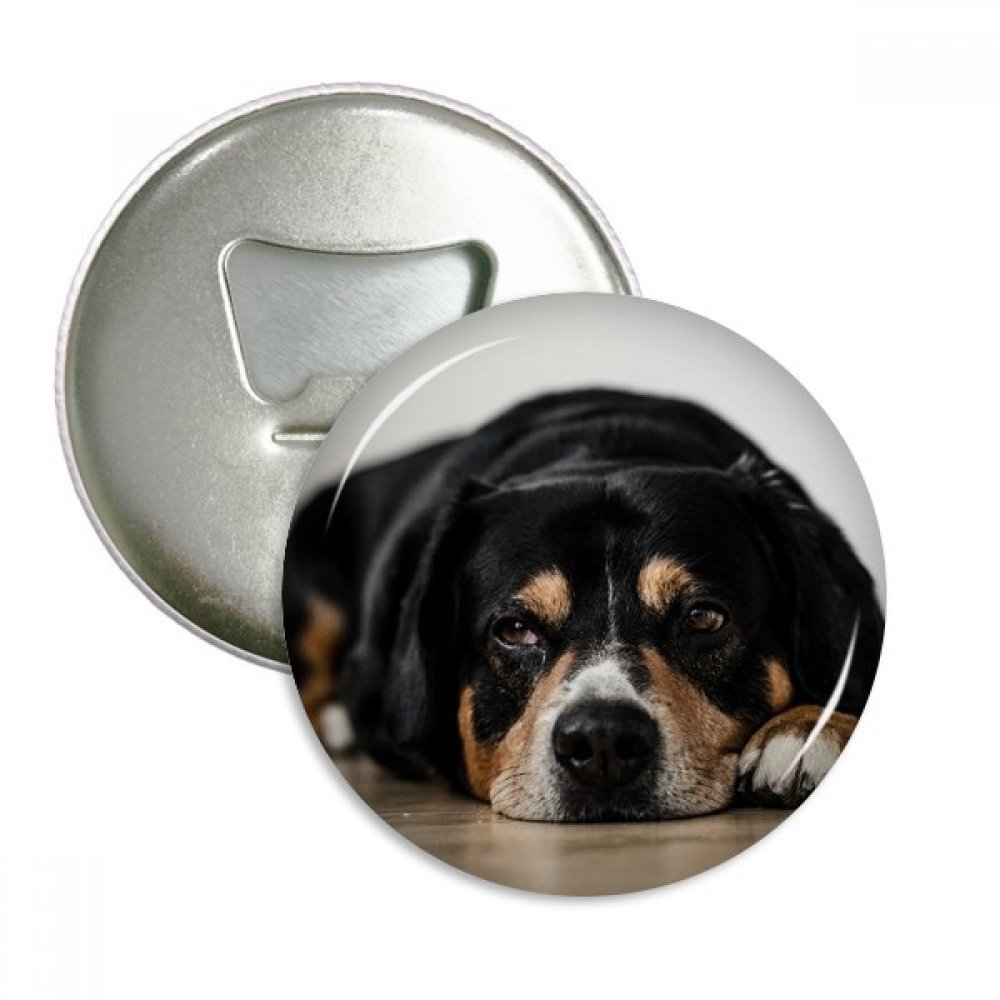 Décapsuleur aimant chien pour égayer votre cuisine avec style et praticité