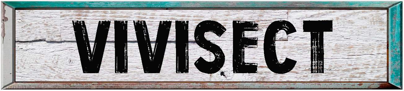 VIVISECT 8" Rectangle White Washed Weathered Painted Wood Rustic Look Magnet for use on Any Steel Surface