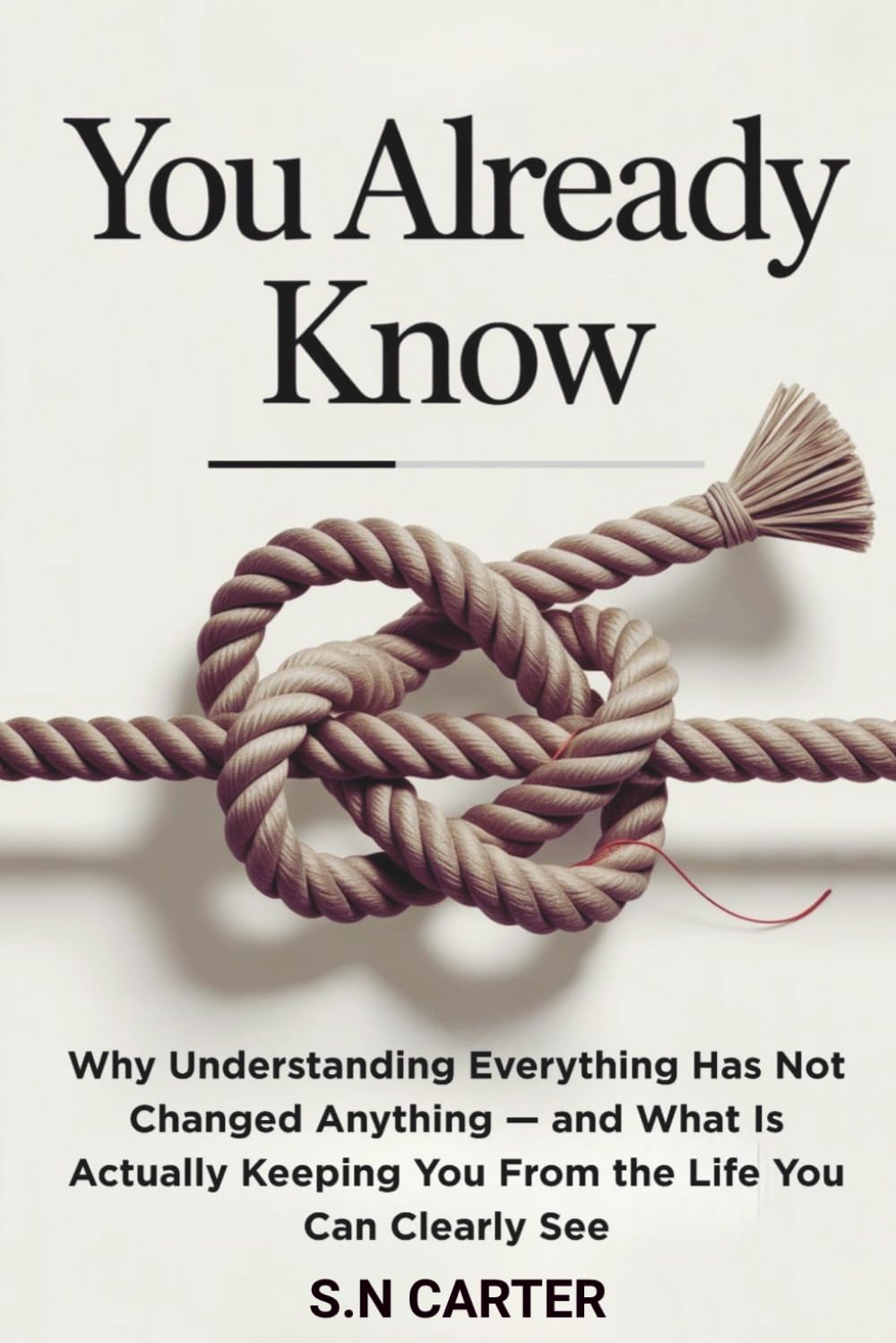 YOU ALREADY KNOW: Why Understanding Everything Has Not Changed Anything — and What Is Actually Keeping You From the Life You Can Clearly See (The Breakthrough Series)