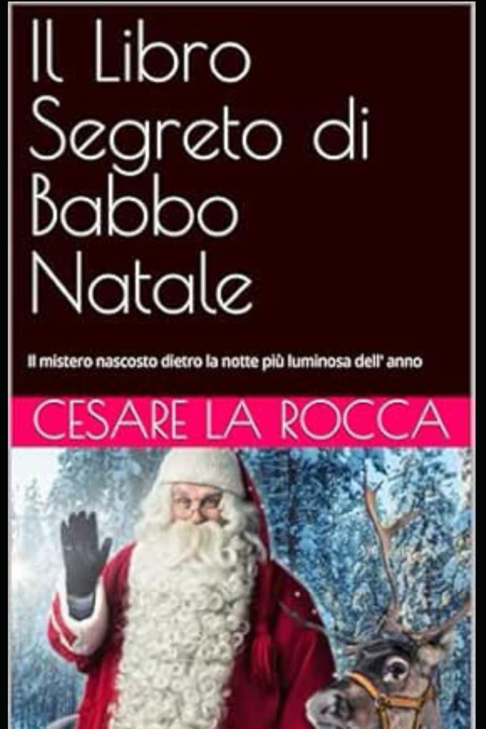 Il Libro Segreto di Babbo Natale: Il mistero nascosto dietro la notte più luminosa dell' anno