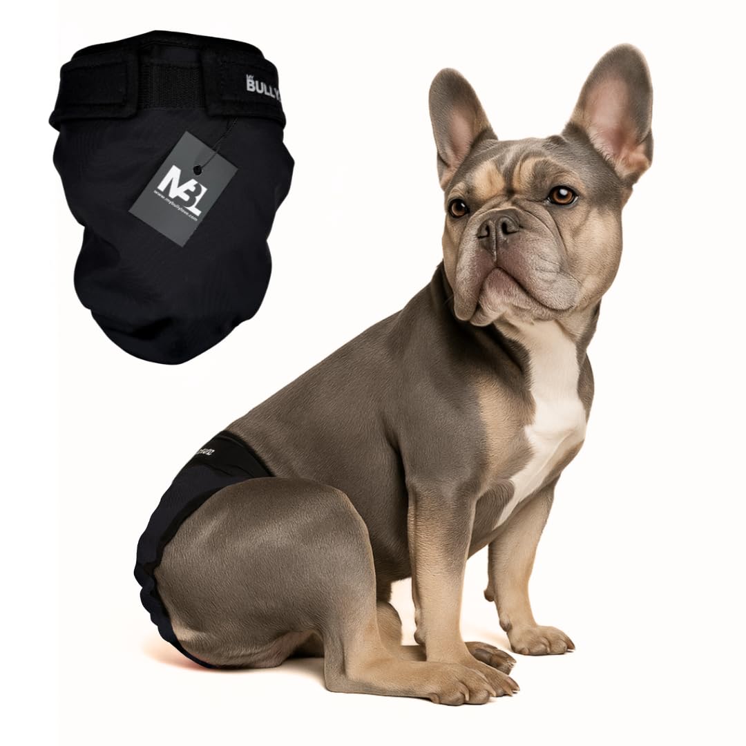 MyBullyLove Loopsheidsbroekje Voor Franse Bulldogs Herbruikbare Hondenluier Zonder Hengelgat Handgemaakt En Traploos Verstelbaar Standaard 42 47 Cm Heupomtrek Verpakking Van 3 Stuks 2896646796