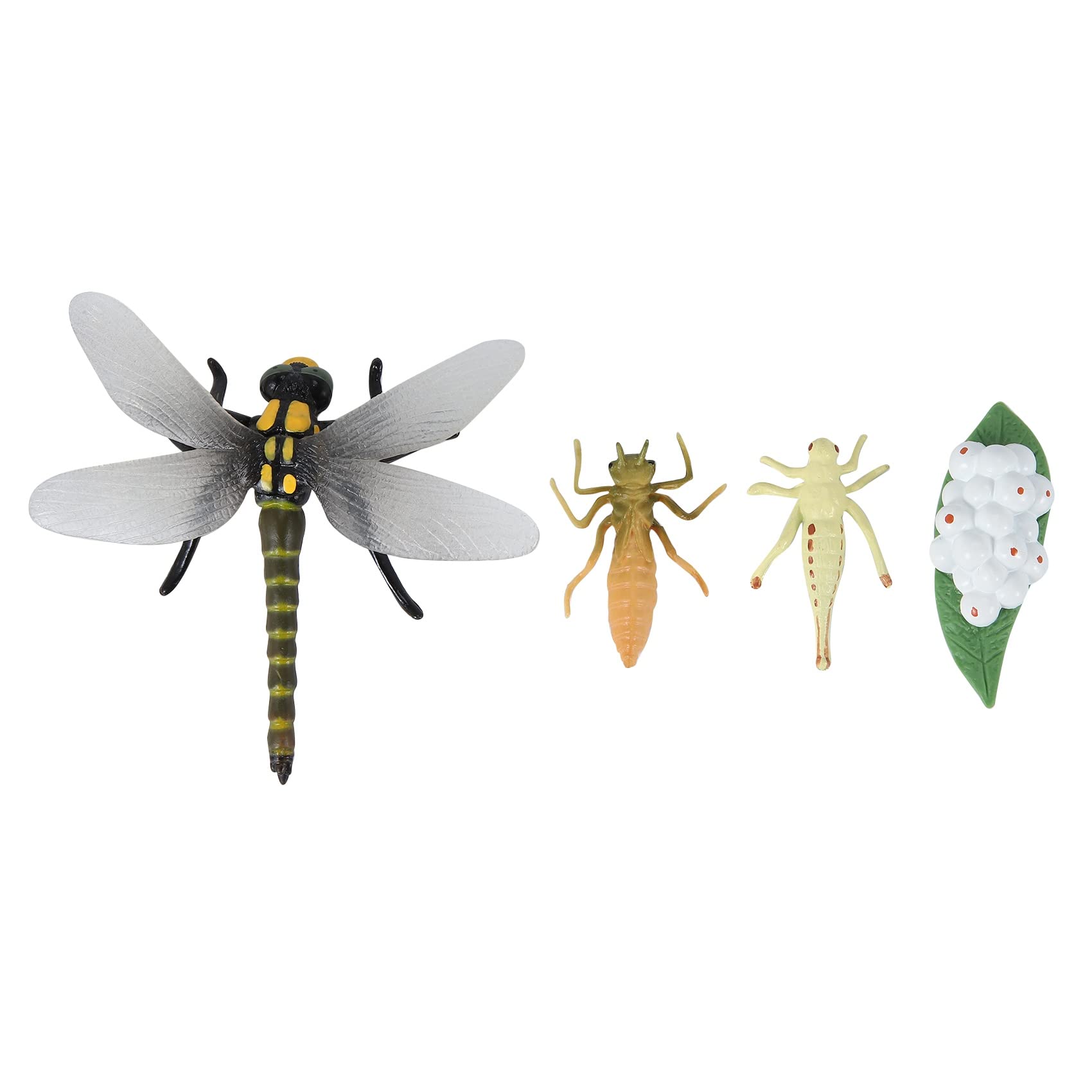 Surakey Figurines Cycle De Vie – Escargot Et Insectes – Modèles éducatifs En PVC Pour Enfants Et étudiants