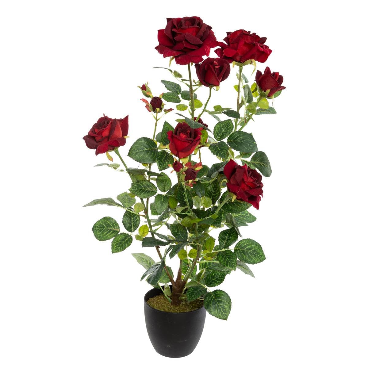 Plante Artificielle Rosier Velours en Pot H 74 cm - Atmosphera
