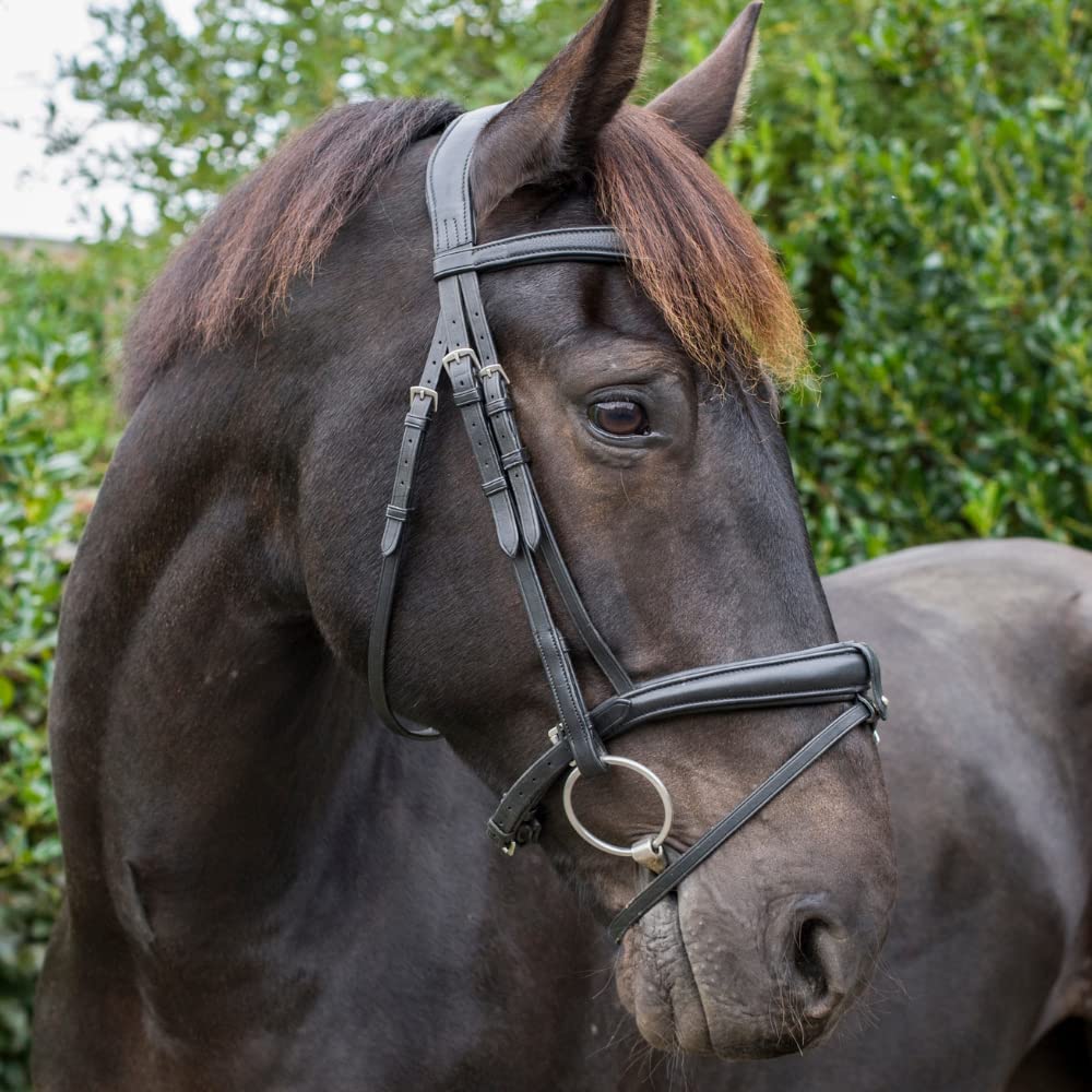 ECO Rider Ecosoft Luxe Bridle Pony Black
