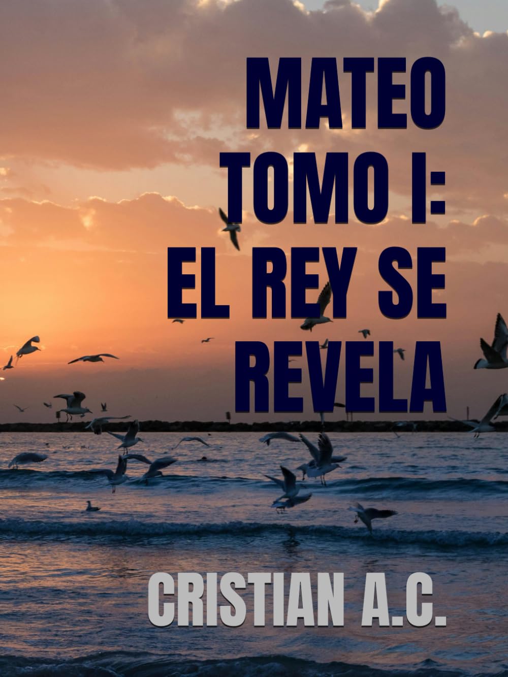 MATEO TOMO I: EL REY SE REVELA (Estudios bíblicos: libro por libro)