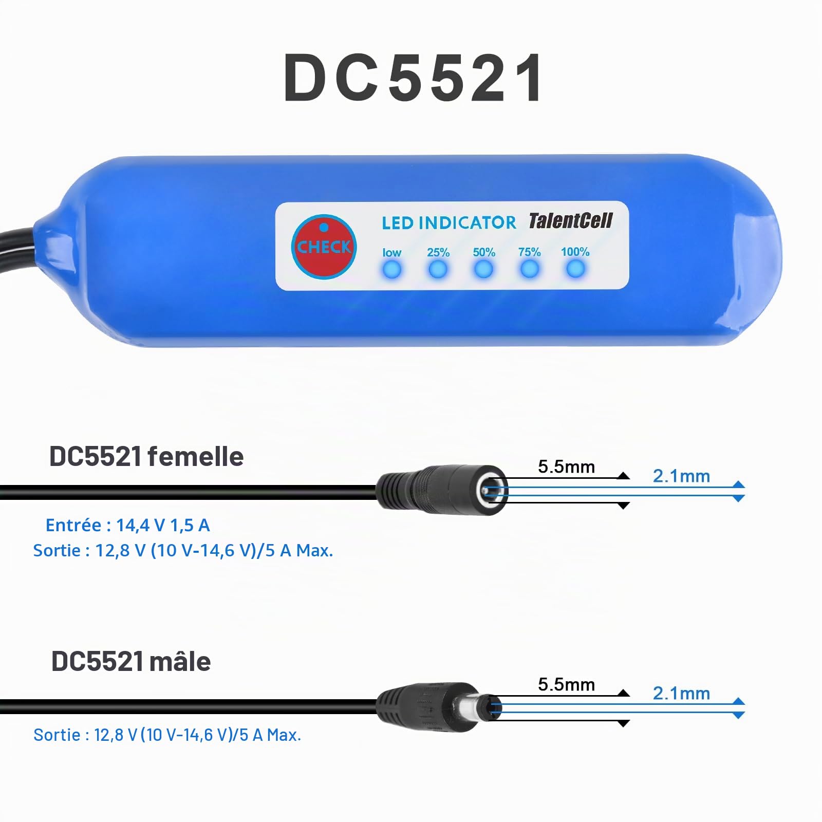 Talentcell Batterie LiFePO4 12 V, plus de 3000 cycles rechargeables, 12,8 V, 6000 mAh, 76,8 Wh, batterie de secours avec sortie DC 12 V pour bande lumineuse LED, caméra de vidéosurveillance, routeur