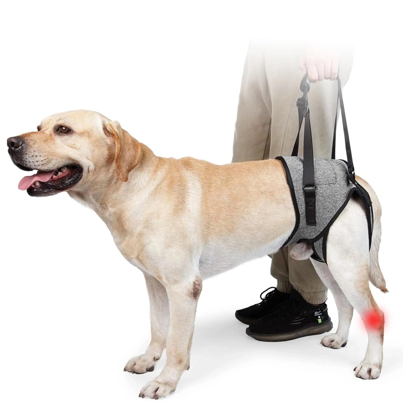 Dog Lifting Harness, Adjustable Emotional Support Dog Harness