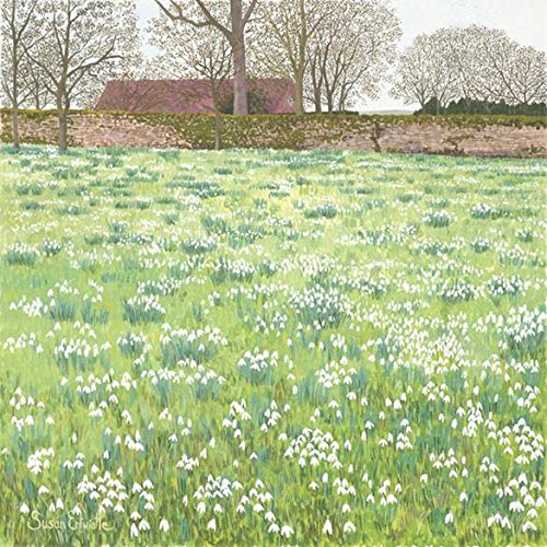 Susan Entwistle Art Snowdrops Hodsock Priory Greetings Cards, 15 cm x 15 cm, multicolour, 6-Piece, 15 x 15 x 1 cm
