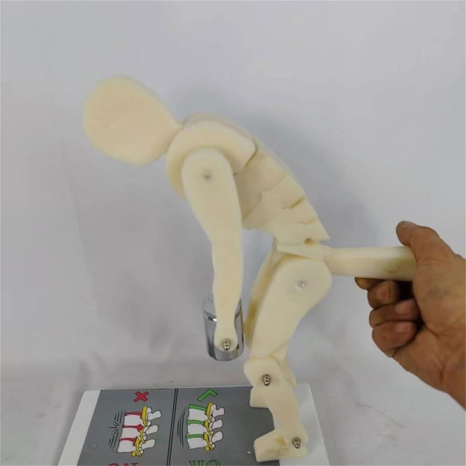 Modelo de elevación Correcta Modelo de demostración de Fuerza de la | Entrenador de postura del cuerpo humano con base, Entrenador interactivo de columna lumbar for anatomía biomecánica
