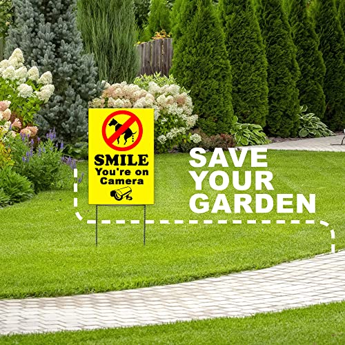 Colibrox Peter Select No Dog Poop - Smile You're On Camera 8''X12'' Plastic Coroplast Sign With Stake Y Funny Retro Vintage Business Nostalgic Signs #TOP4