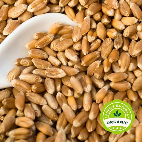 Miniatura 8 de Ready Harvest - Alimentos integrales deshidratados para almacenamiento de alimentos de emergencia suministros de campamento y kits de supervivencia