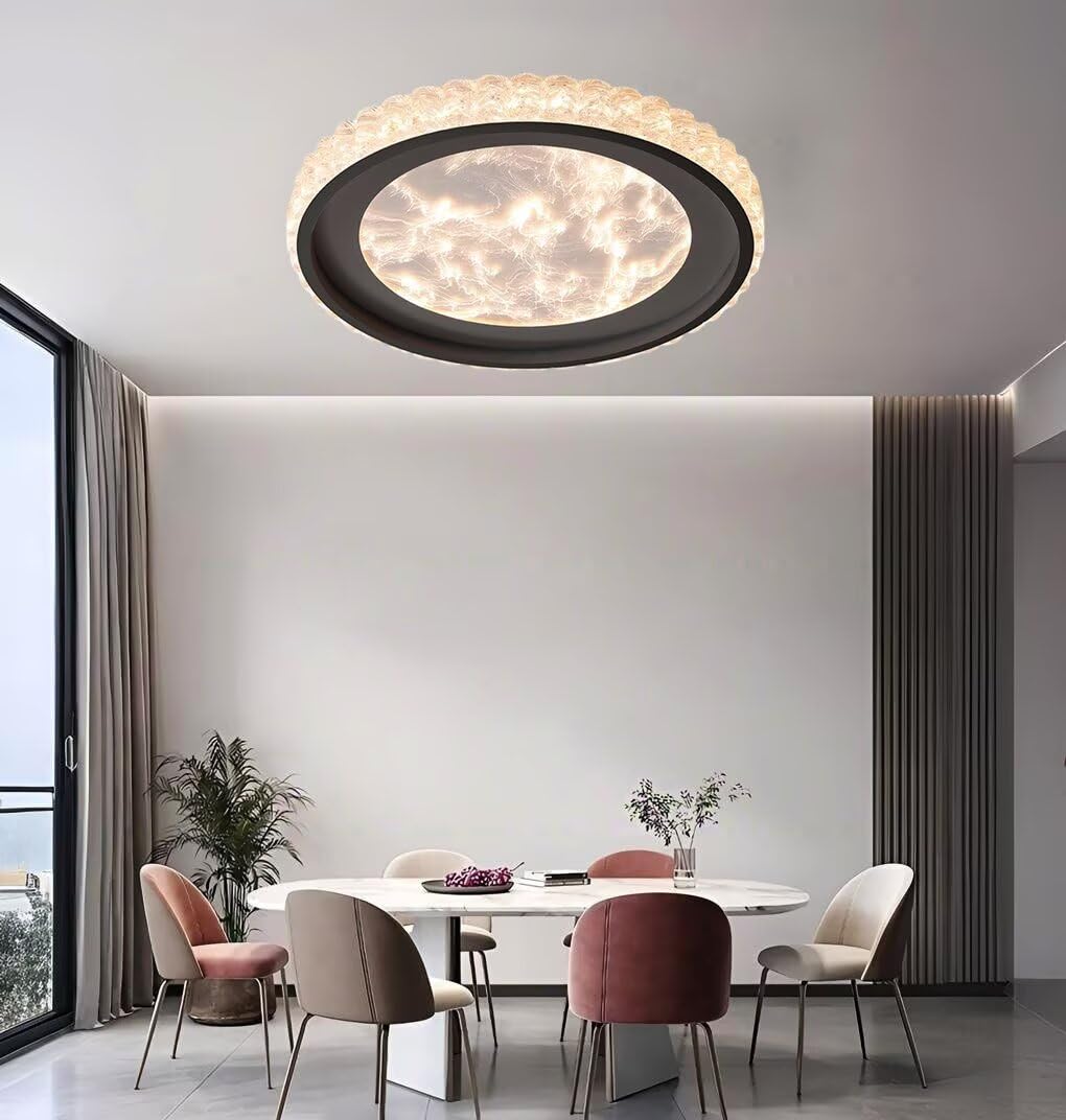 Plafon LED Techo Moderna, φ-60cm Redondo Luz de Techo Pantalla de Lámpara Acrílico, Protección Ocular de Espectro Completo Dimmable Negro Plafones para Dormitorio Cocina Salon Baño Pasillo