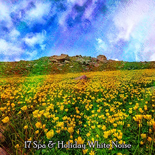 Amazon MusicでAmbient Nature White Noiseの17 Spa & Holiday White Noiseを再生する