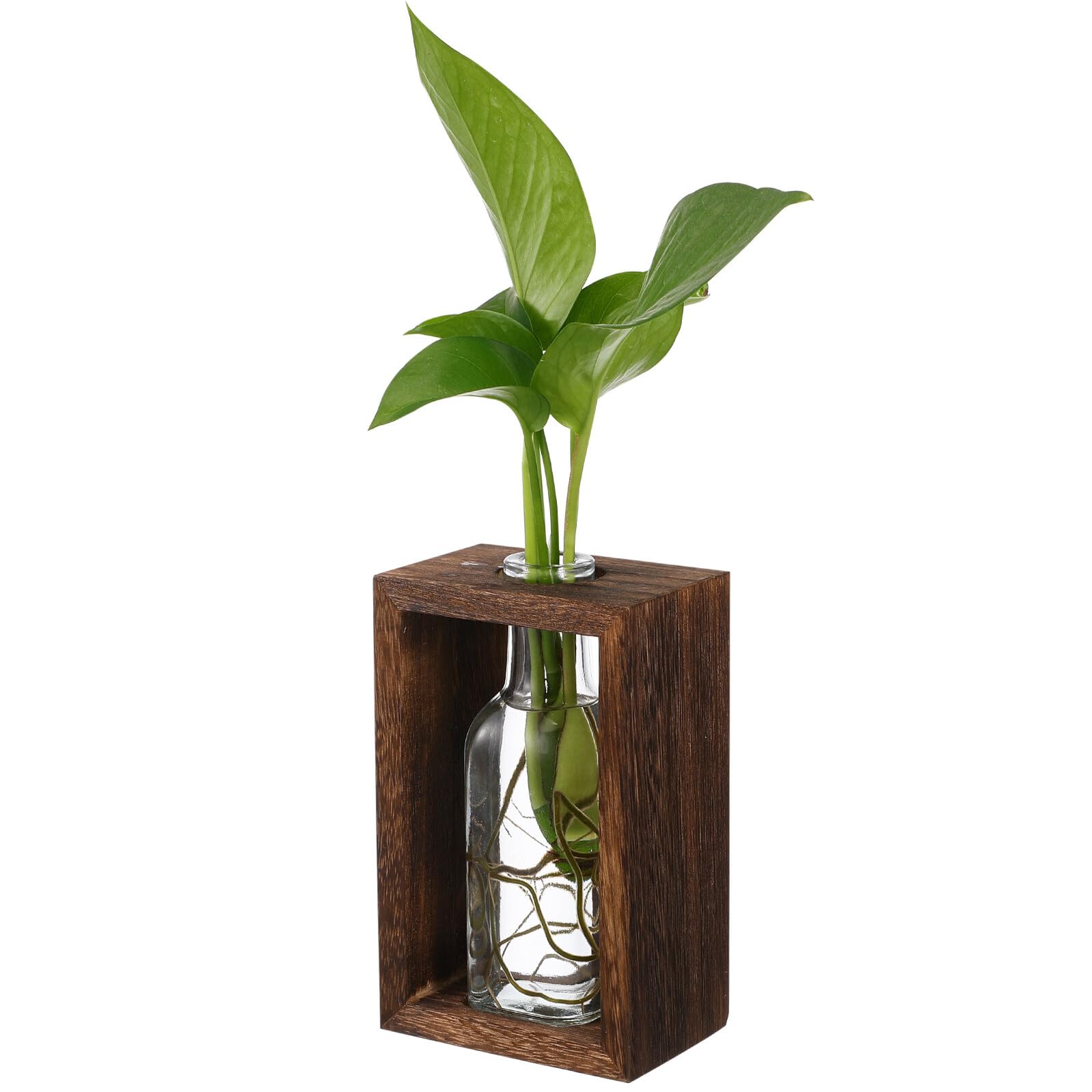 Station de propagation en bois et vase hydroponique de table NUOBESTY