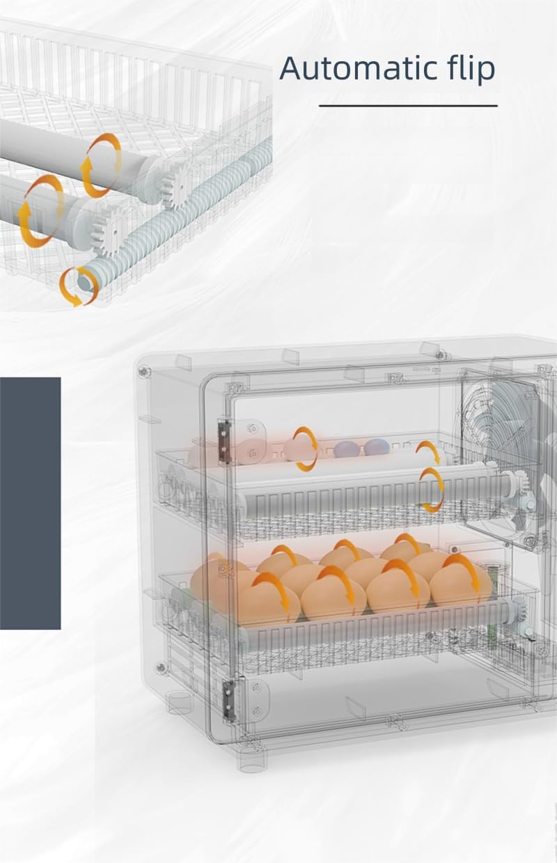 Incubadora digital de huevos con pantalla LCD, capacidad de 24 huevos, control de temperatura, múltiples modos de eclosión de doble capa para pollos, patos, gansos y palomas
