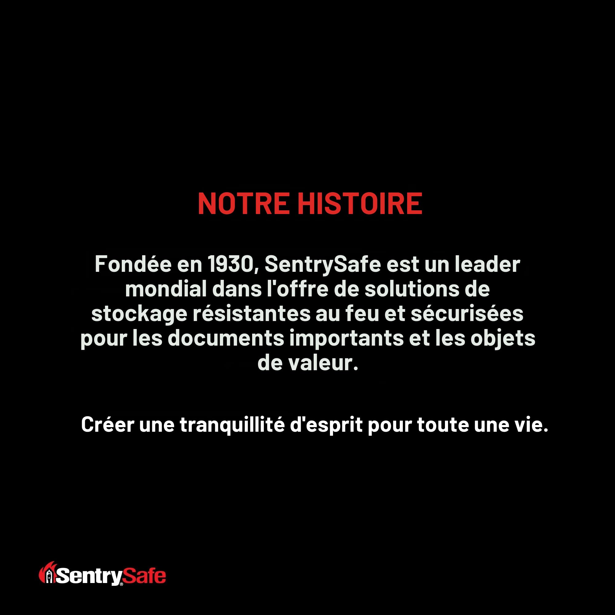 SentrySafe Sac résistant au feu et à l'eau avec fermeture éclair pour documents, 3,8 x 27,9 x 38,1 cm, FBWLZ0