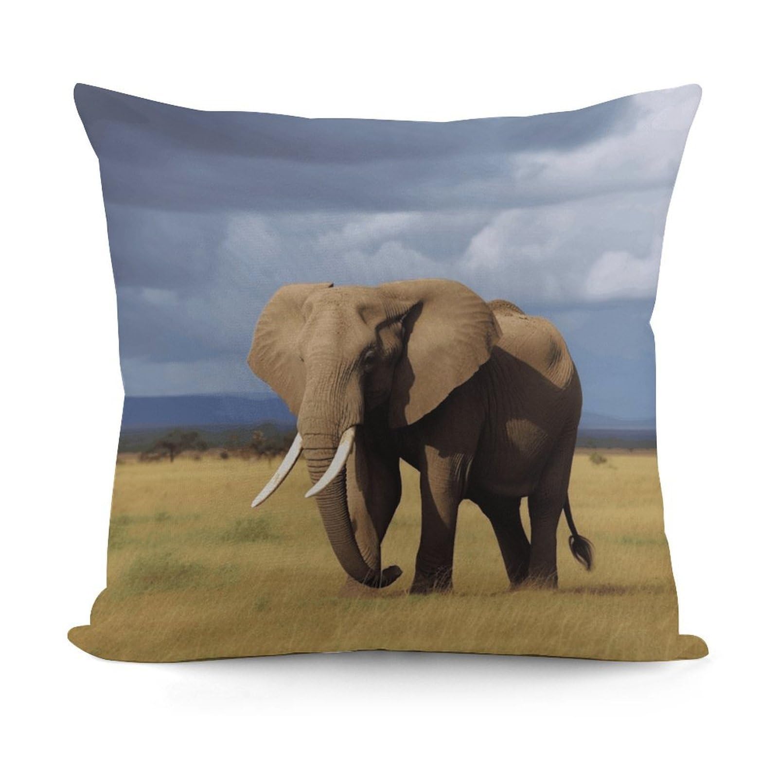 VstaDank Africa Grassland Elephant Throw Pillow Covers 18x18 Inch Soft Couch Home Decor Cushion Cover Comfortable Plush Square Cushion Case Farmhouse Decorative Pillowcase for Living Couch