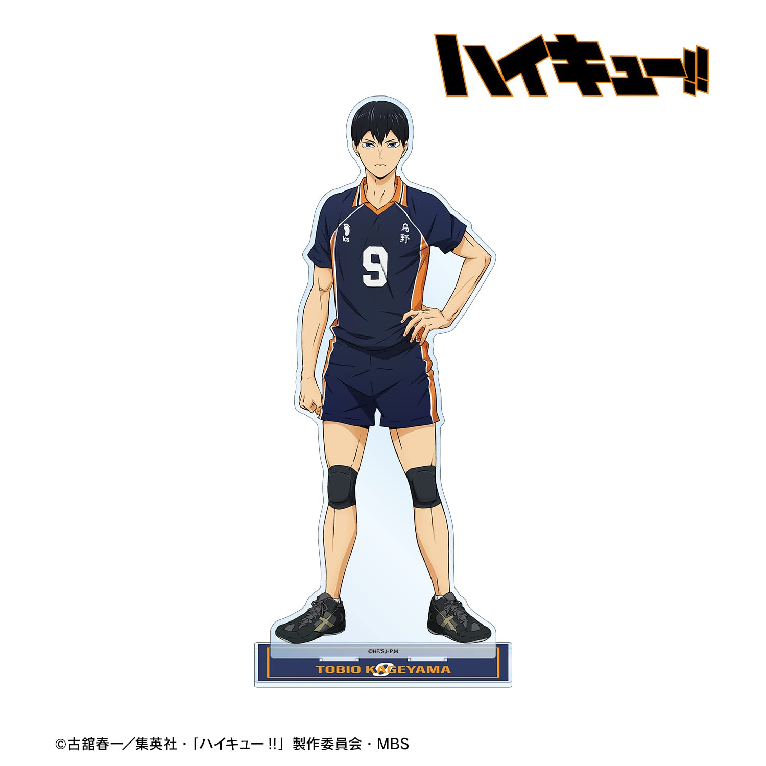 Amazon.co.jp: アルマビアンカ(armabianca) ハイキュー!! 影山飛雄 