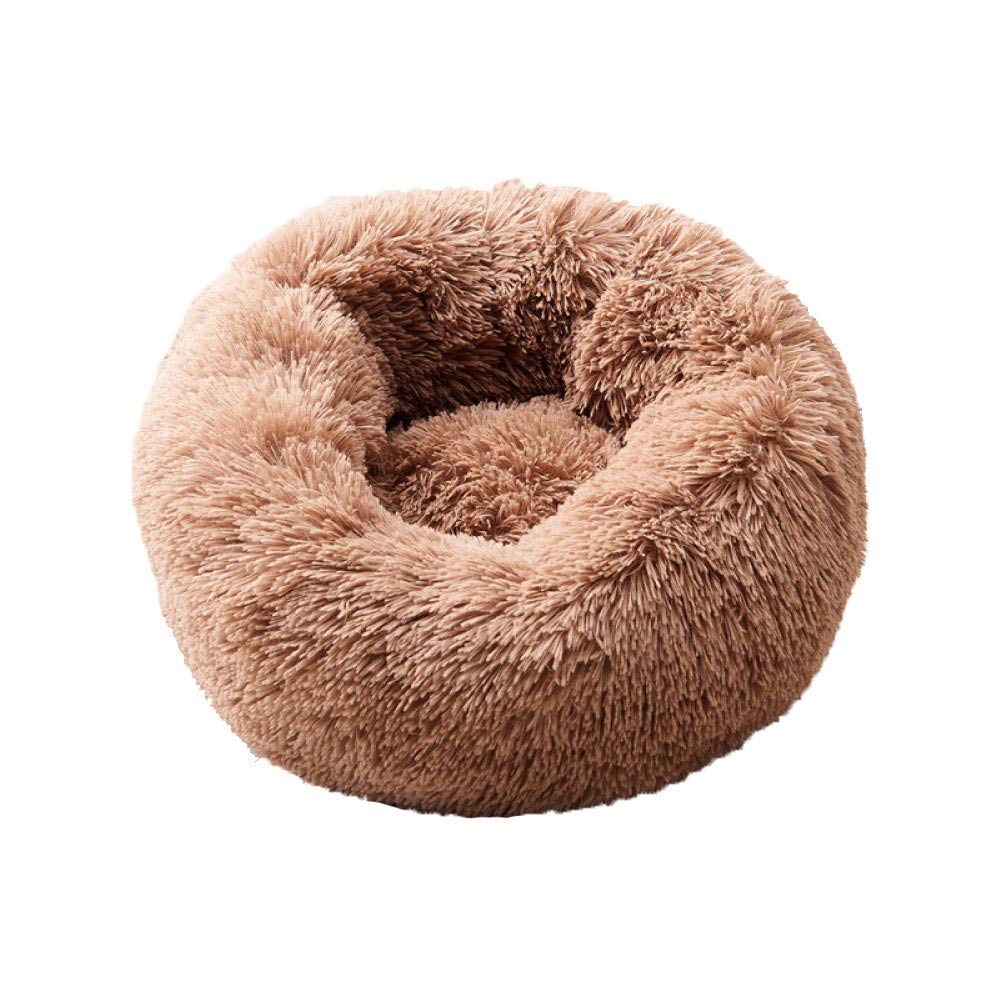 Lit de chien en mousse de style salon pour des siestes paisibles près du canapé