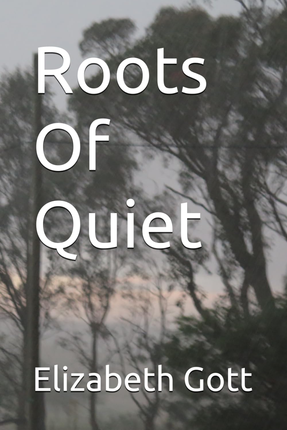 Roots Of Quiet