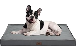 Outdoor Dog Bed: Perfect for Your Furry Friends