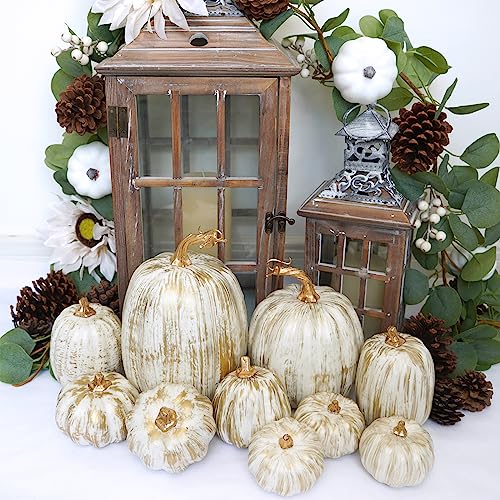 Winlyn-10-Pcs-Assorted-Fall-Artificial-Pumpkins-Gold-Brushed-White-Pumpkins-Decorative-Pumpkins-Foam-Pumpkins-for-Wedding-Thanksgiving-Halloween-Baby-Shower-Tabletop-Centerpiece-Mantel-Decor Winlyn 10 Pcs Assorted Fall Artificial Pumpkins Gold Brushed White Pumpkins Decorative Pumpkins Foam Pumpkins for Wedding Thanksgiving Halloween Baby Shower Tabletop Centerpiece Mantel Decor