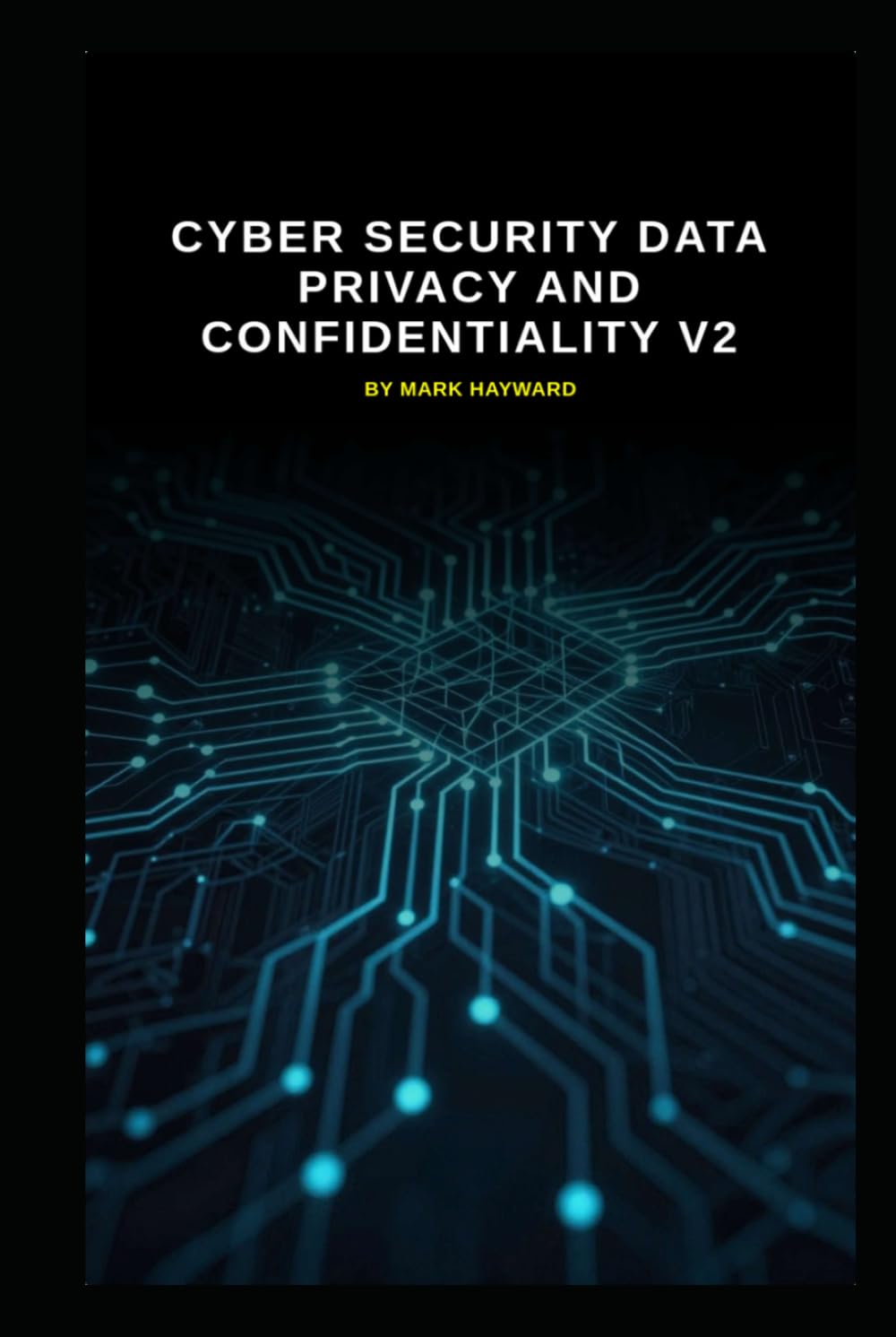 Cyber Security Data Privacy and Confidentiality v2: Updated information from v1 (Series 2a)