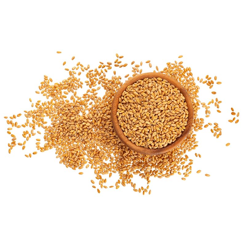 25kg Leinsamen Gold Leinsaat Gelb Musli Backen 25 kg