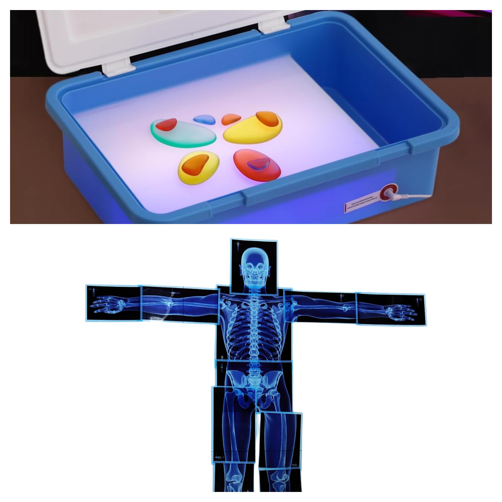 Light Table for Kids | Light Table Manipulatives Preschool | Transparent | Light Table for Kids Sensory | 3 Light Modes 18"(Blue)+Human Body X-Ray Puzzle Kit - Engaging Educational Tool for Classroom