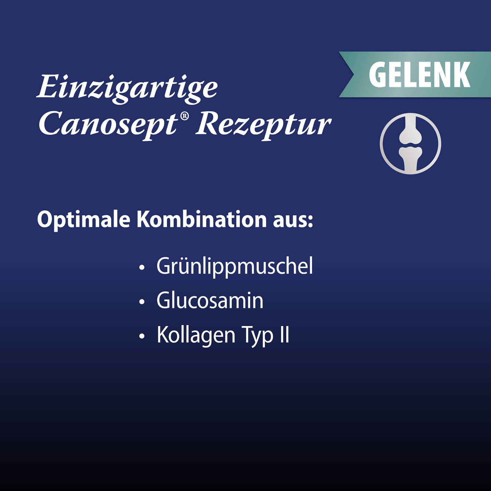 Canosept 2 x Gelenktabletten Hund - Einzigartige Rezeptur: Mit Grünlippmuschel, Glucosamin, Kollagen - Hervorragende Akzeptanz - 160 Tabletten