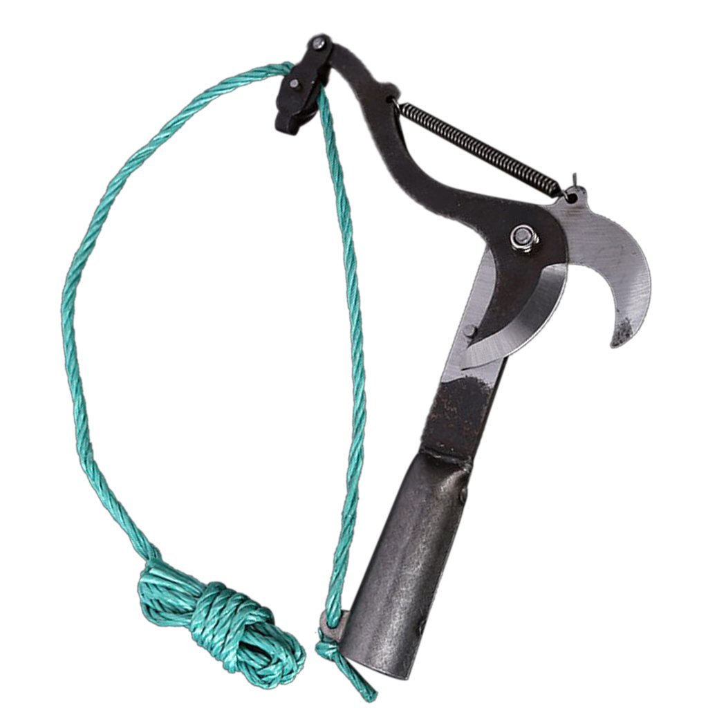 See full amazon price history chart for Generic Garden Pruning Shears Flexible Branch Cutter Durable Steel Blade Hand Pruner Generic Garden Pruning Shears Flexible Branch Cutter Durable Steel Blade Hand Pruner (B0DB1L3KQZ) Amazon Price History, Amazon Price Tracker