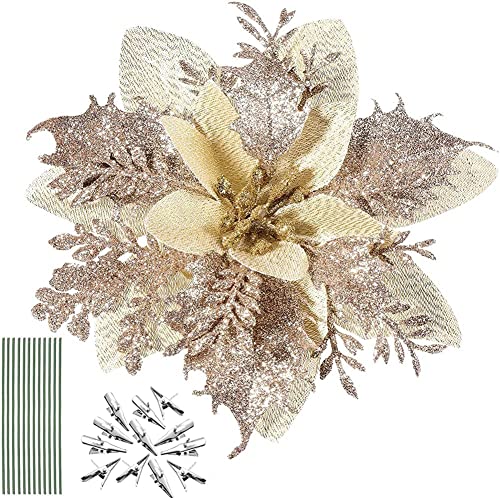 Amazon.ca Most Gifted The most popular items ordered as gifts in