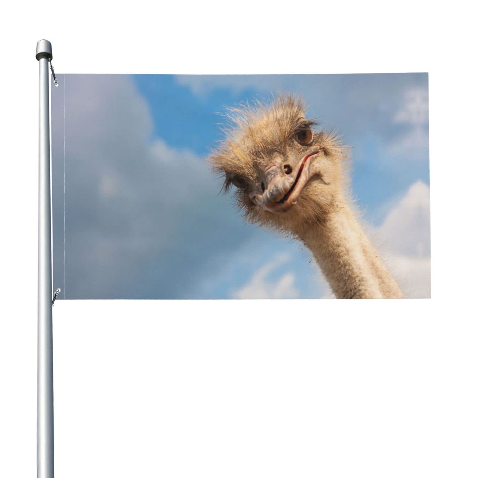 Garden Flags, Funny Ostrich Flag Funny Flags 5ft x 3ft with Eyelets Festival Carnival Party UV Fade Resistant Polyster Flag