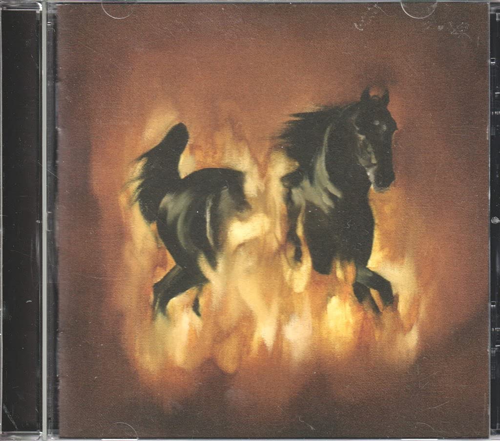 The Besnard Lakes Are The Dark Horse