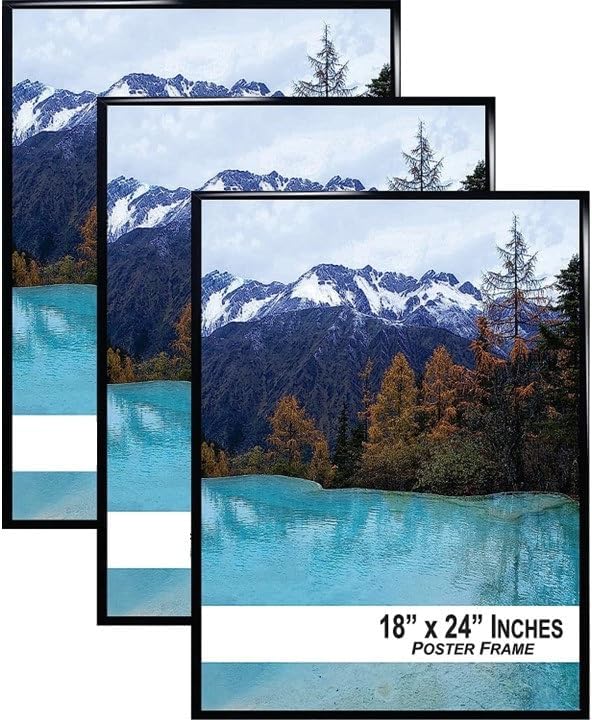Poster Frame, 18" x 24" with Black Frame, Plexiglass