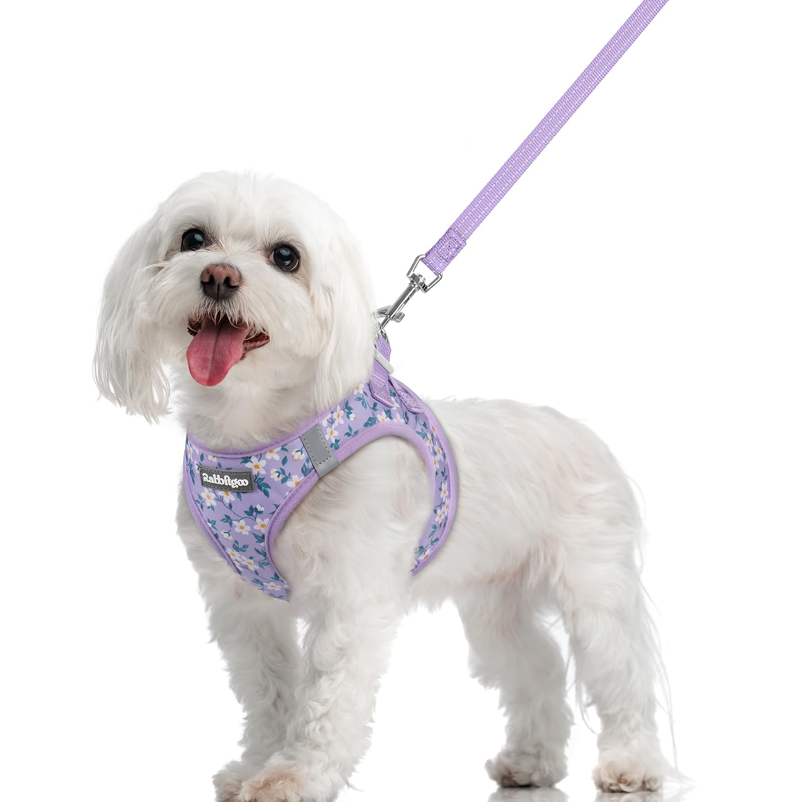 rabbitgoo Dog Harness Medium Sized and Leash Set, Step-in Puppy Pet Vest