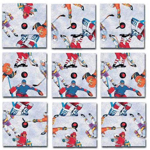B.Dazzle Scramble Squares: Hockey