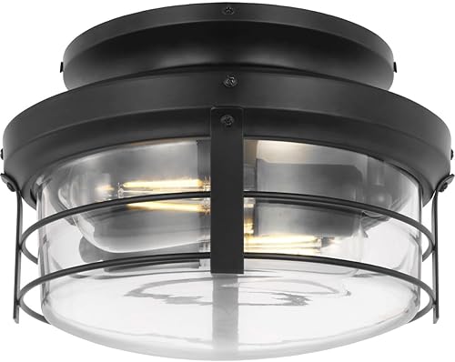 Progress P260004-31M-WB Springer II - Kit de luces LED para ventilador de techo de 14 W, 2 en estilo granja, 11 pulgadas de alto y 12 pulgadas de