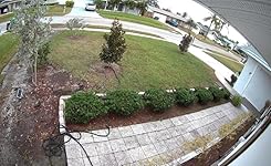 Review Image by Dimitri Udis Dimitri Udis