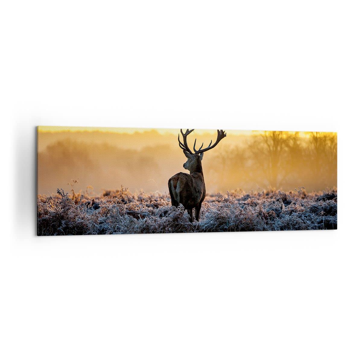 Lienzos decorativos 160x50cm Cuadro Sobre Lienzo Moderno Campo niebla la naturaleza el árbol Grande XXL Dormitorio Cuadros Pared Imágenes Cuadros Decoracion Salon Wall Art Prints Decor AB160x50-2428